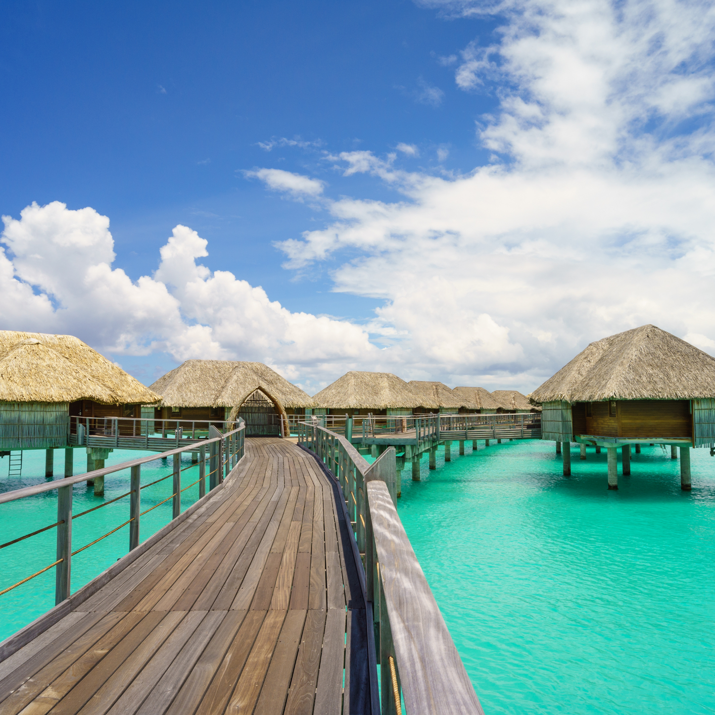 Bora Bora Type*