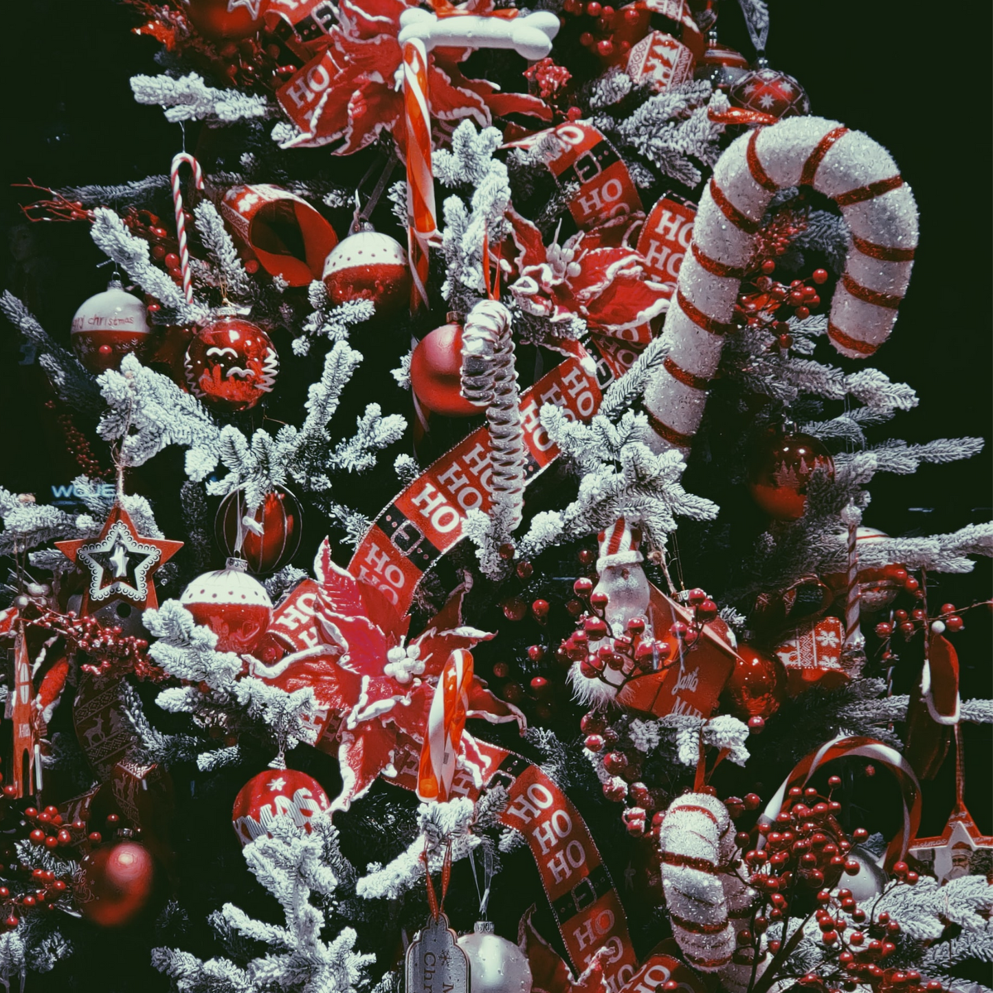 Sweet Christmas Tree - EXCLUSIVE
