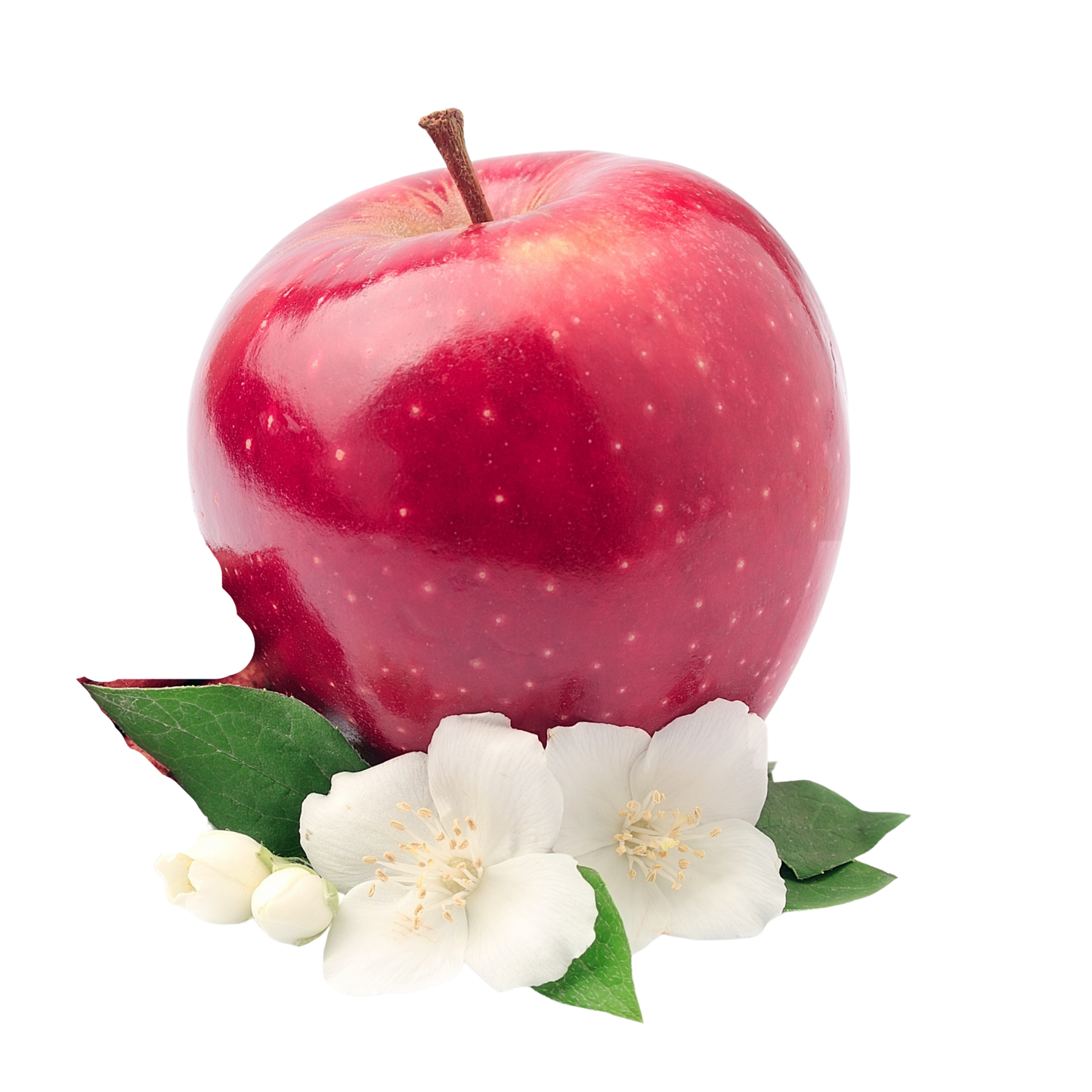 Red Apple and Jasmine