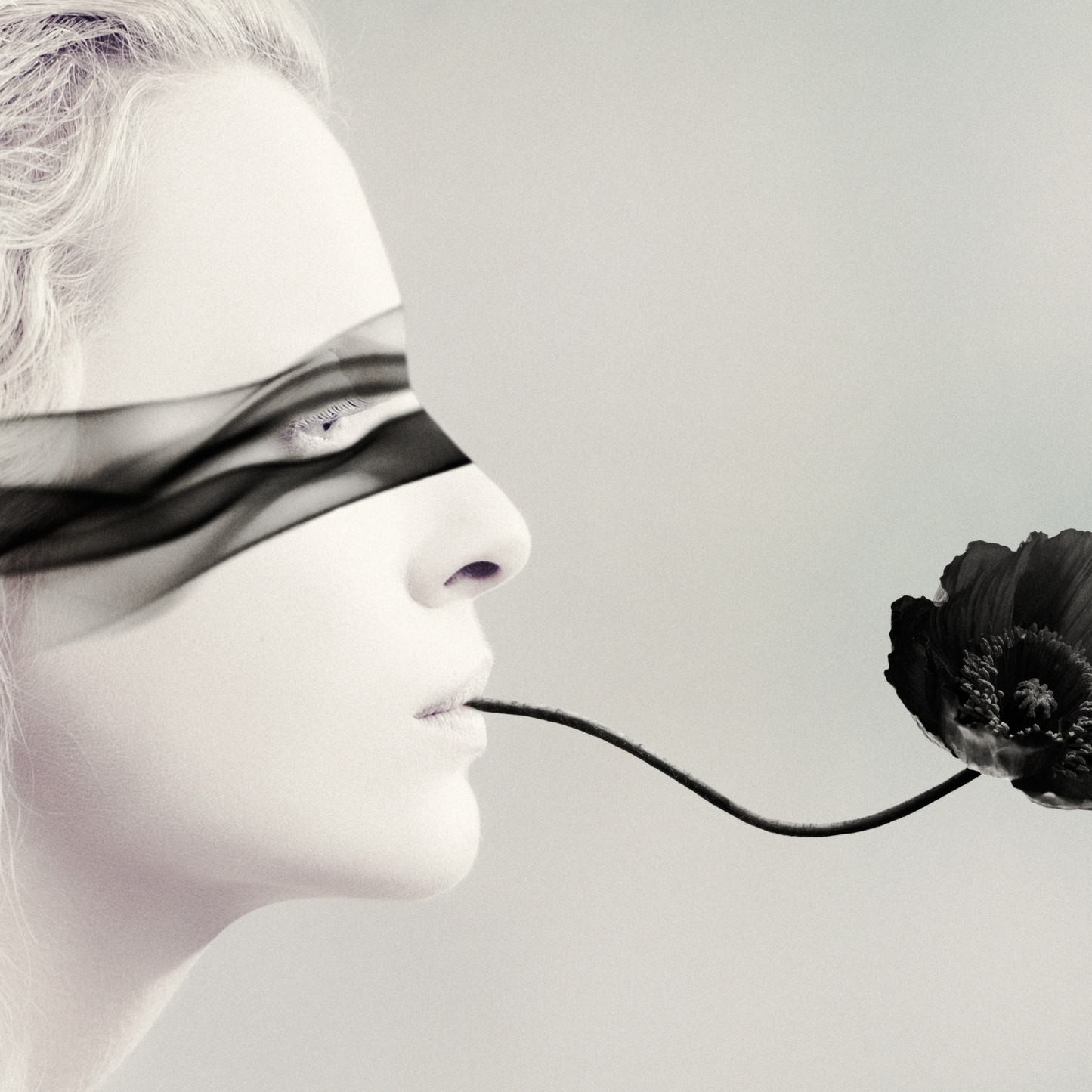 Black Opium type*