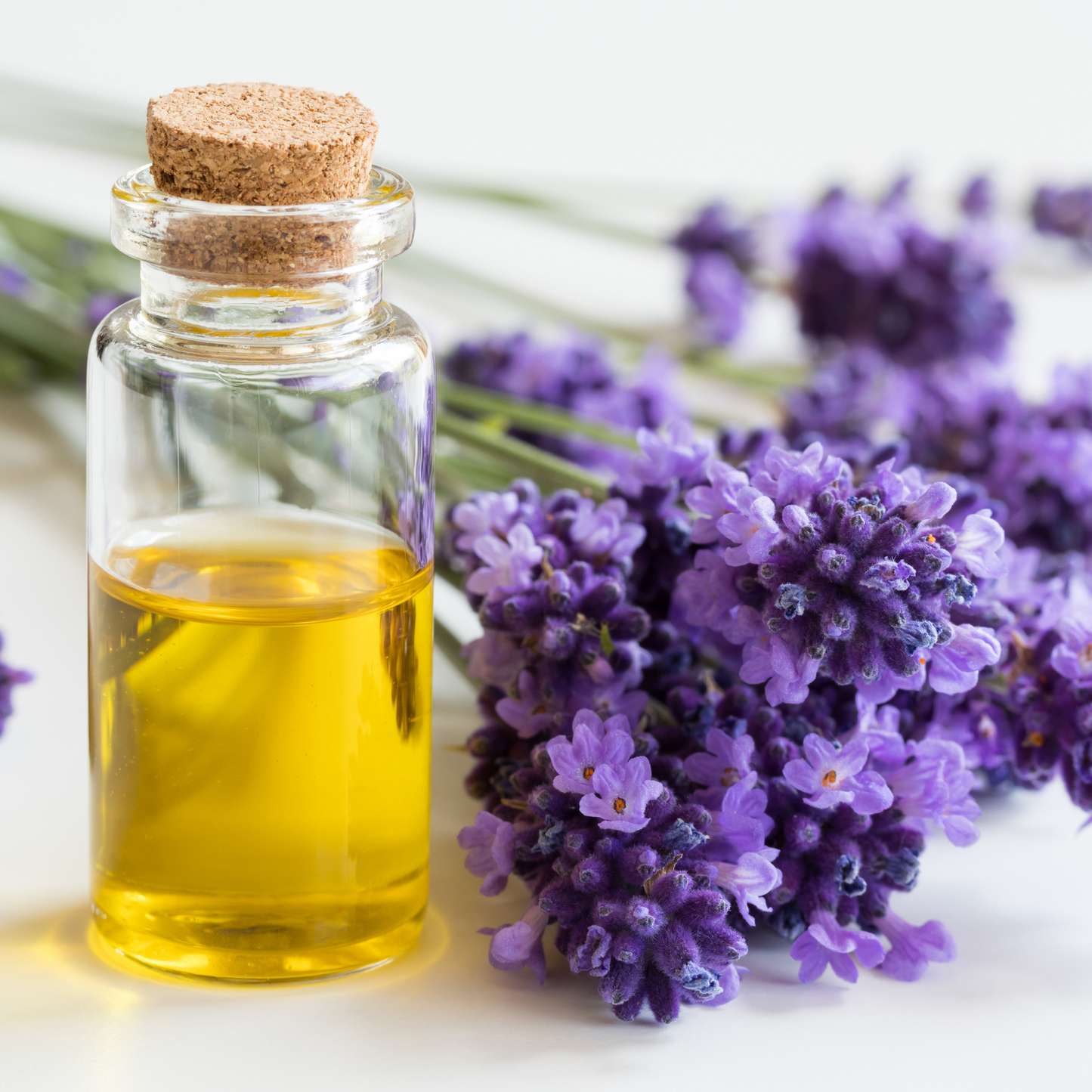 Lavender Essential Oil