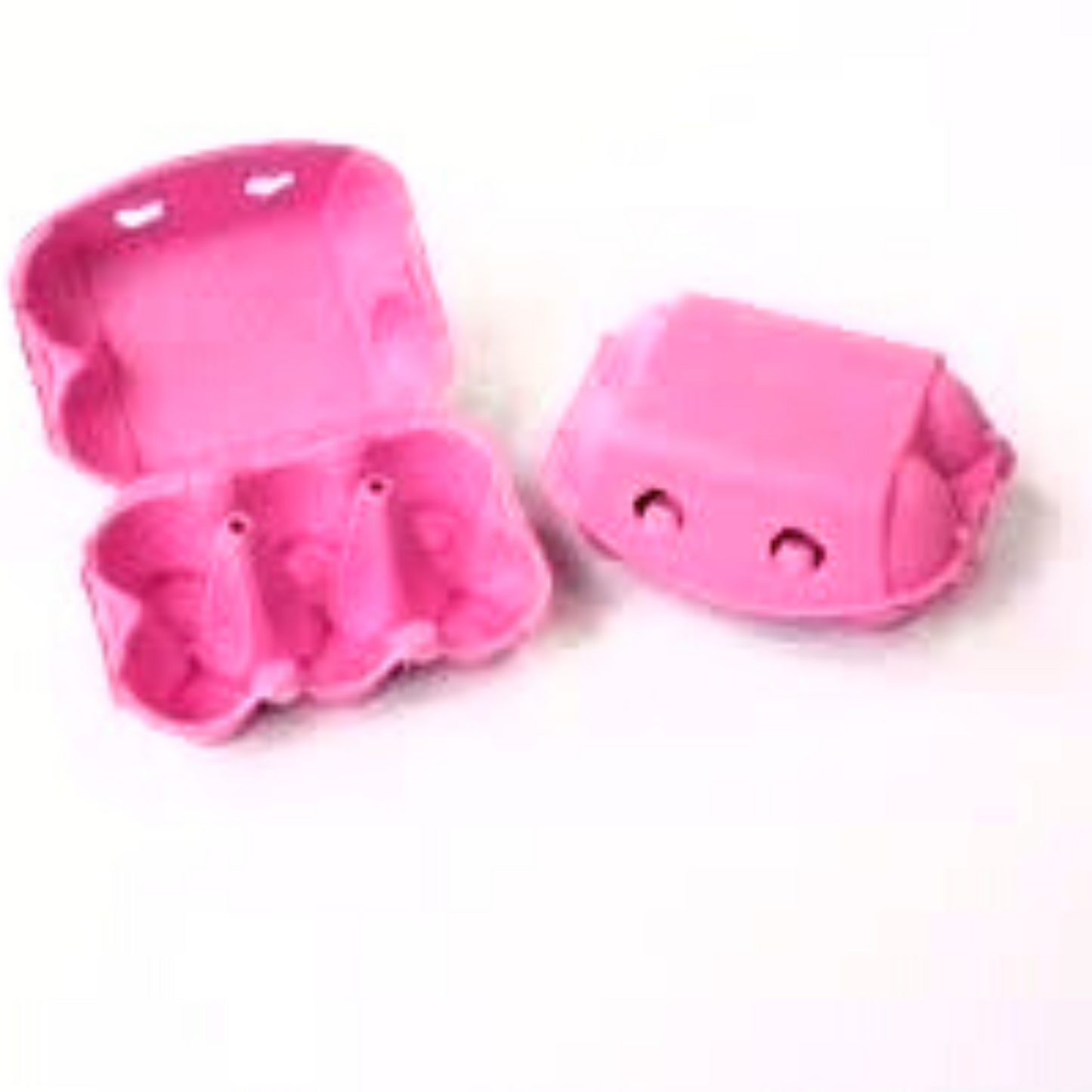 Easter Egg Carton 6 pack