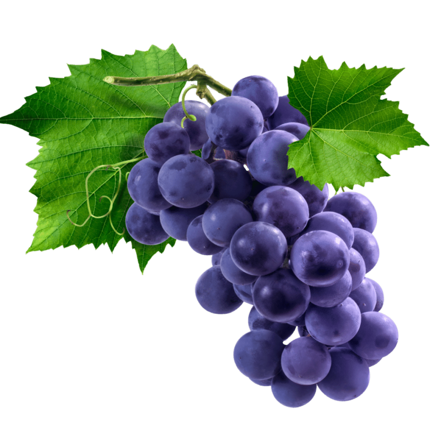 Amazonian Grape